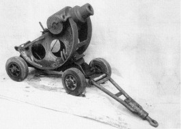 BERNHARD LUGINBÜHL STIFTUNG