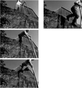 BERNHARD LUGINBÜHL STIFTUNG