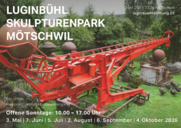 BERNHARD LUGINBÜHL STIFTUNG